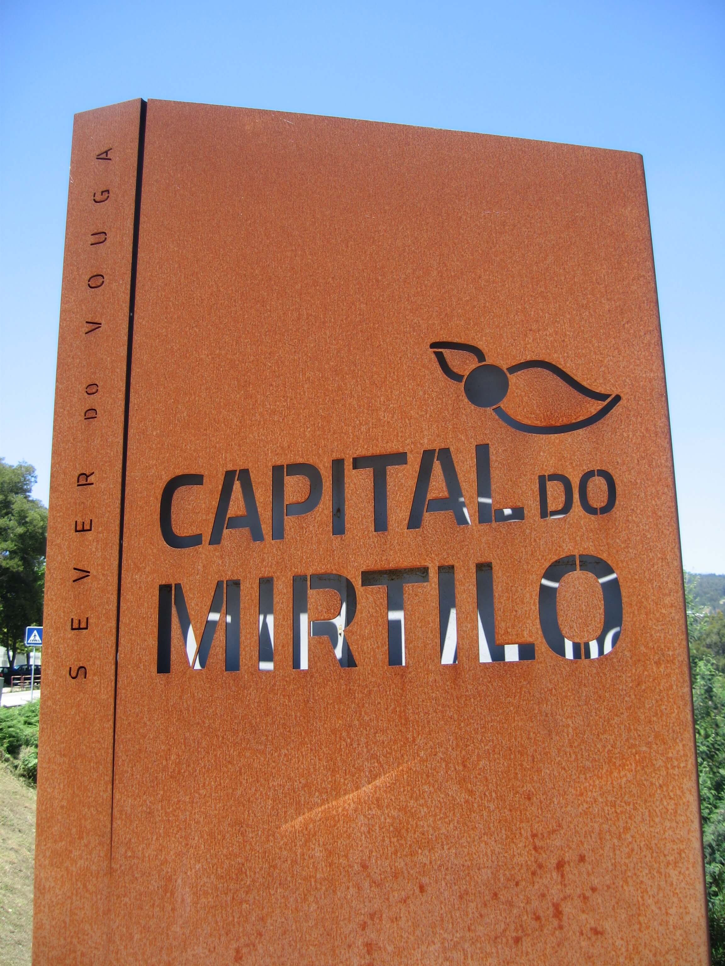 Capital do Mirtilo