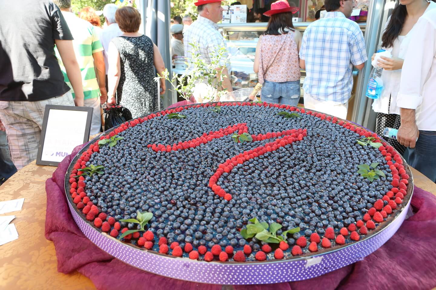 Feira Nacional do Mirtilo