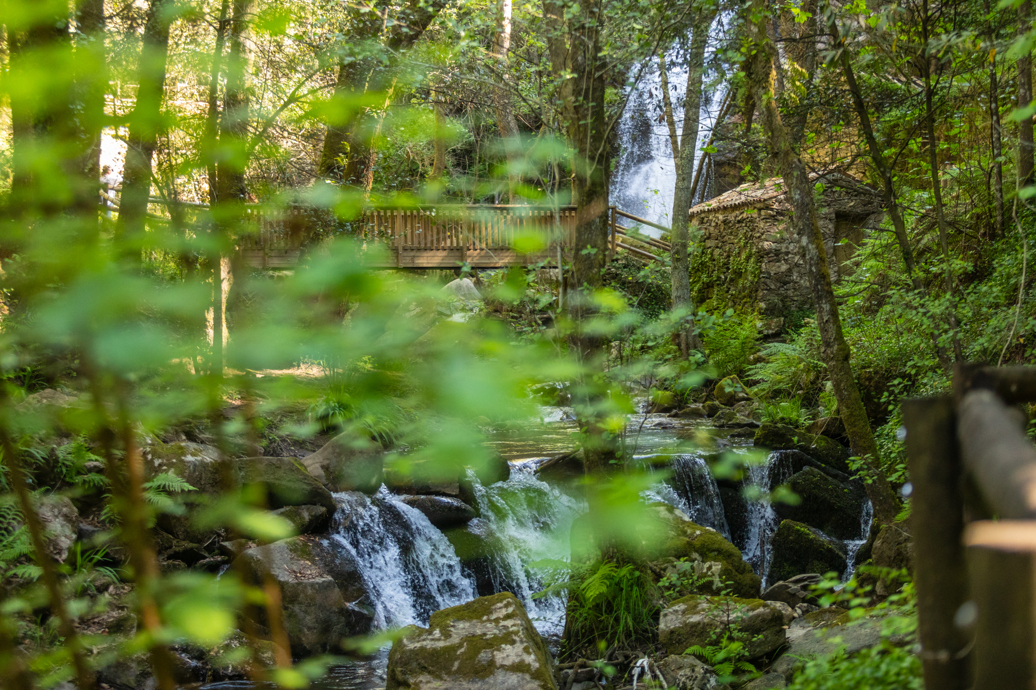 Aqui é Sever do Vouga