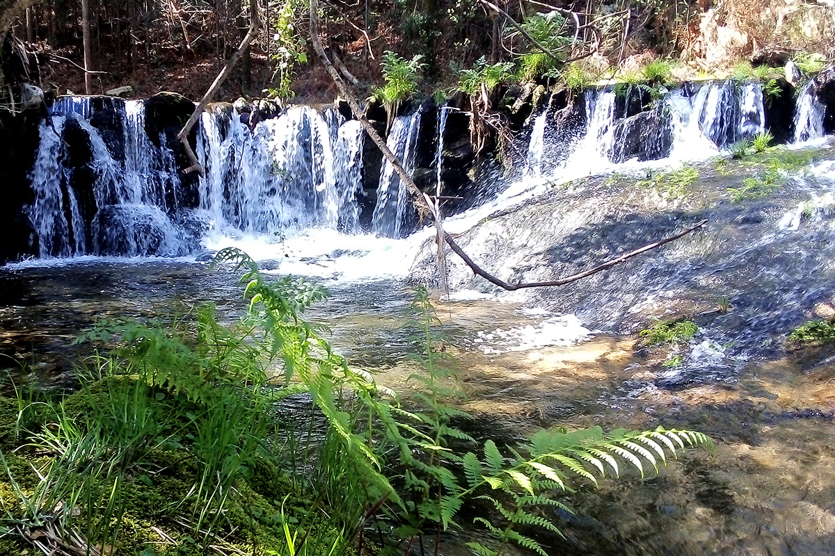 Cascade du ruisseau Carrazedo