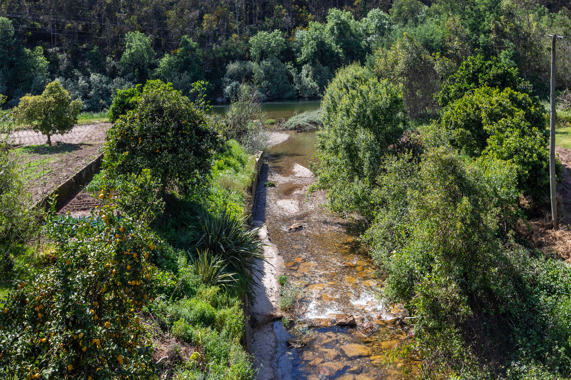 Rio Bom / Rio Mau