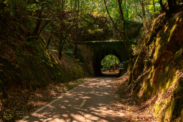 Ecotrailway de Vouga/ Ancienne ligne de chemin de fer
