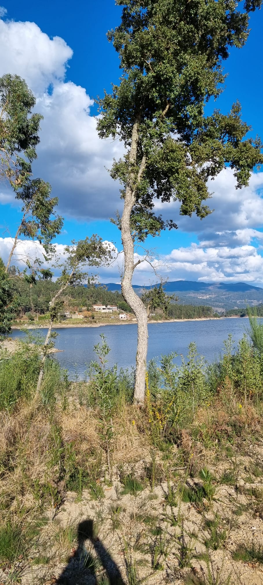 Zona de Fruição de Couto de Baixo